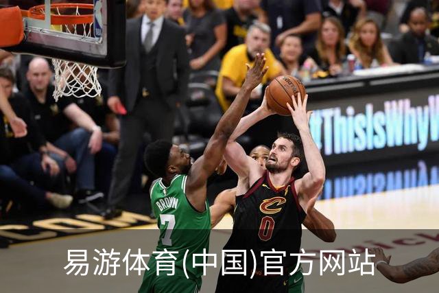 易游体育(中国)官方网站公司简介